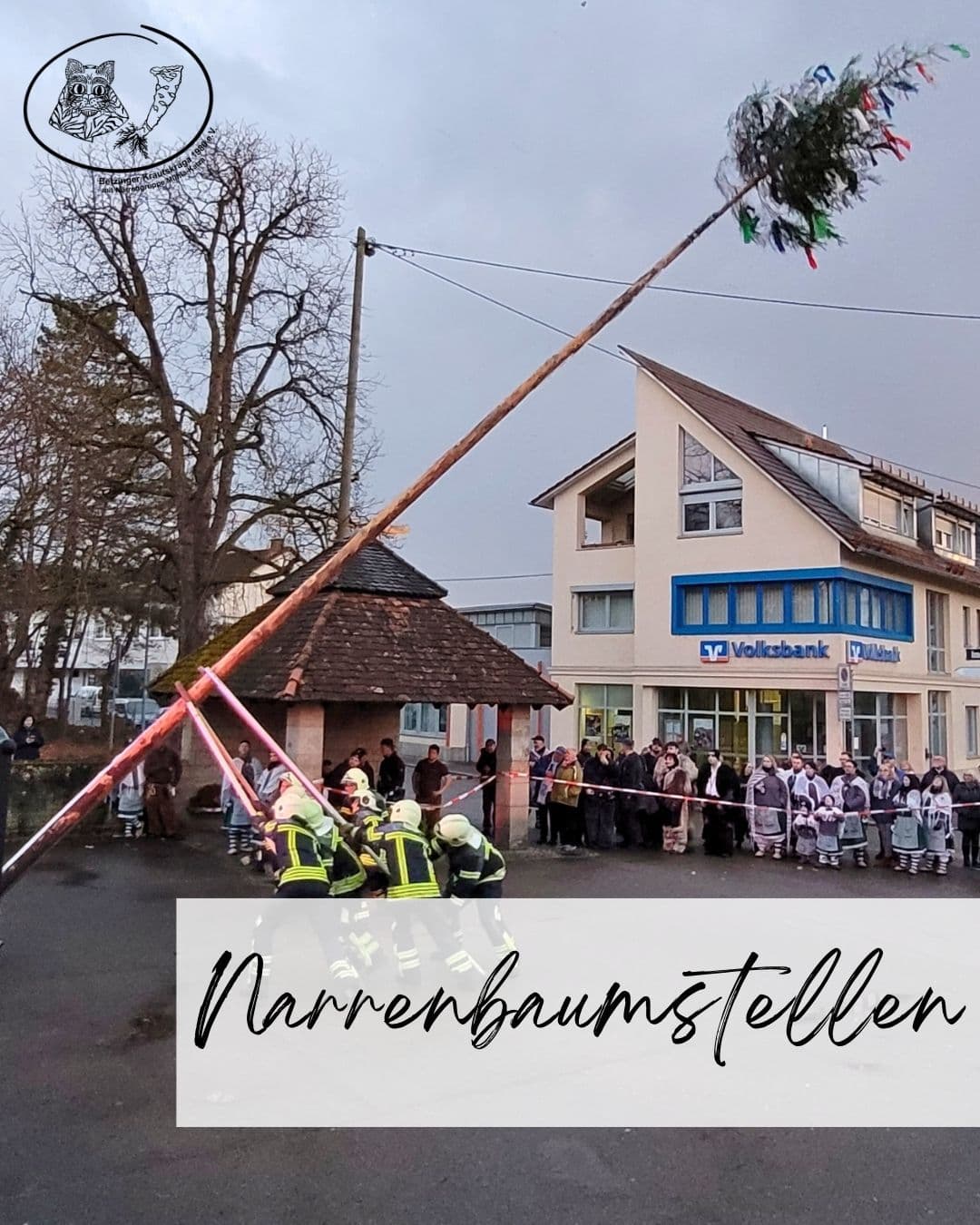 Bild für Narrenbaumstellen